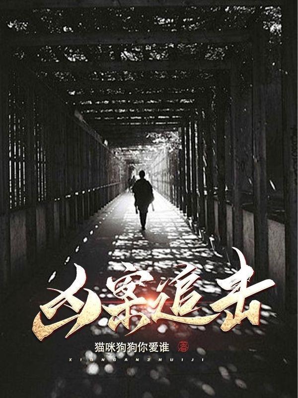 凶案追击 凶案追击